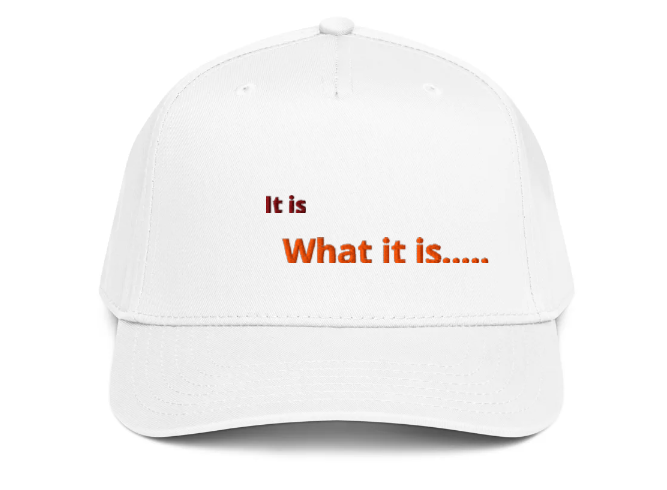 “Not Today, Bill.”  -  Limited Edition It is What it Is...Cap 
